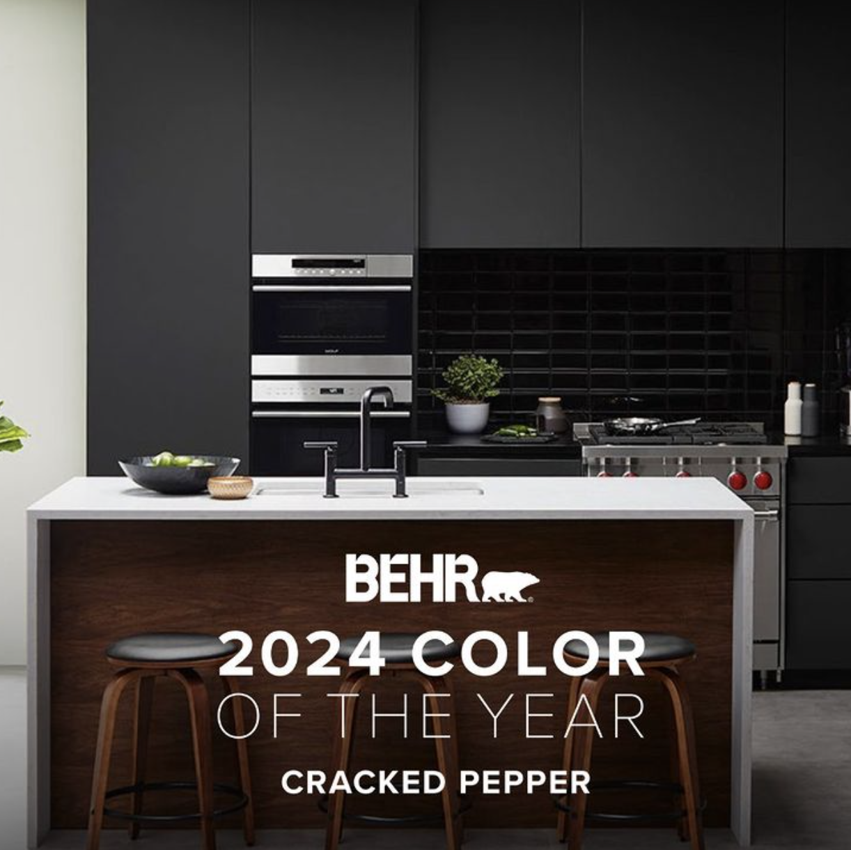 Embracing 2024 S Livable Kitchen Color Trends Front Center   Image 1 